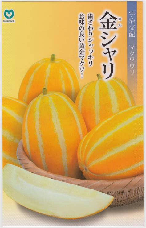 種金|「種錢(タネセン)」の意味や使い方 わかりやすく解説 Weblio辞書